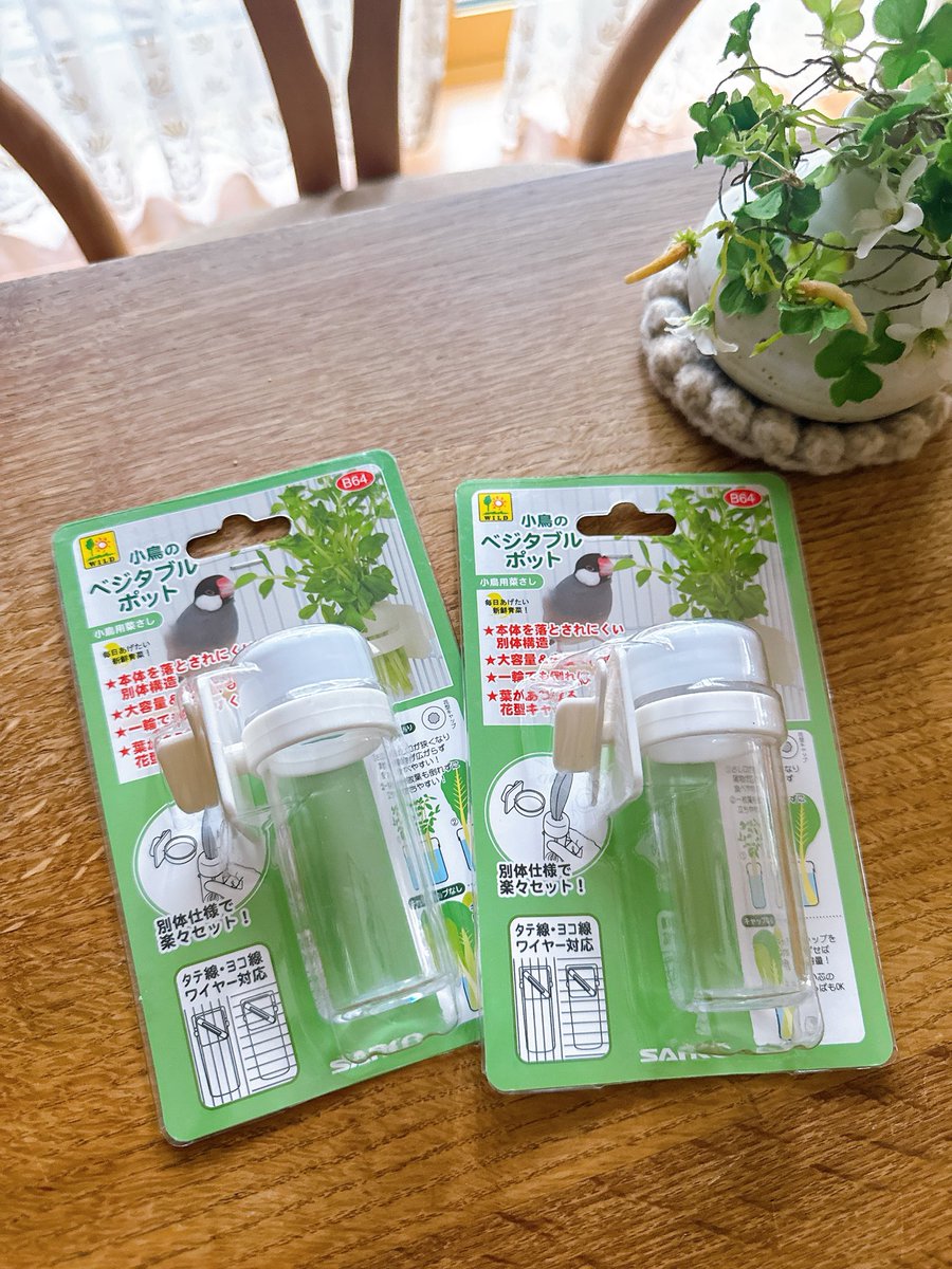 mikapiano_'s tweet image. 🌱豆苗好きのキナコさんに
こちらを🛒ポチッ

お口に付いてますよー🌱🤭

今、amazonで2個セット
39％引きに❣️（18:00現在）

#ad

amzn.to/4cLDsi7