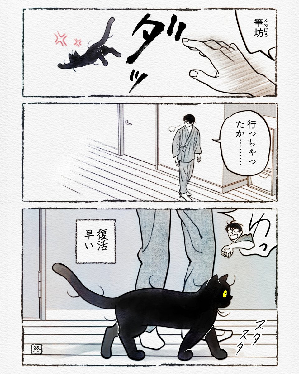 猫「見せてやろうか実力を」

(4/4) 
