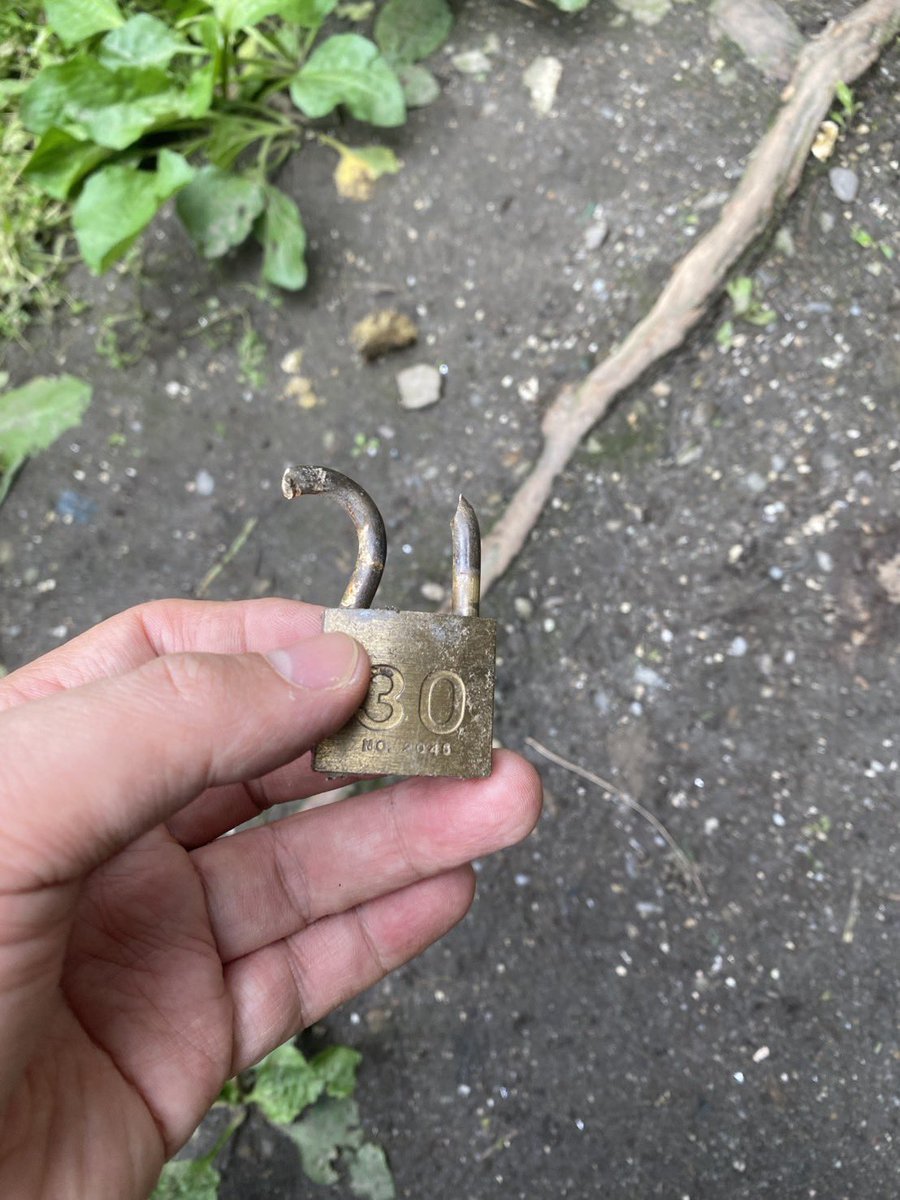 ナンシー・Onagadori tweet media