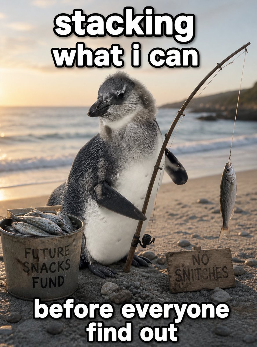 Jupiter_Penguin's tweet photo. Jupiter Penguin out here fishing like it's a side hustle and the ocean is his ATM. 

Respect. https://t.co/ZzV2g04GFW
