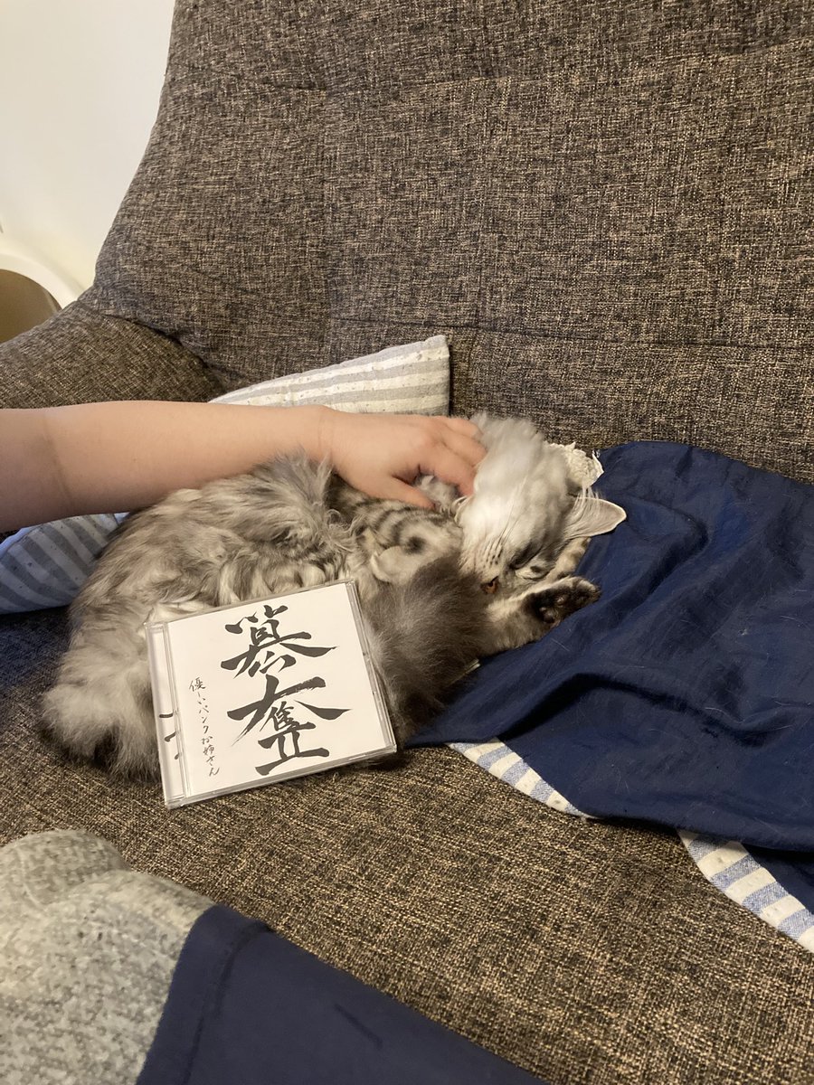 yasapank's tweet photo. 【CD届きました！！】
6月27日のレコ発より販売いたします！
1枚2000円です、何卒よろしくお願いします！ https://t.co/gNBzSXVS52