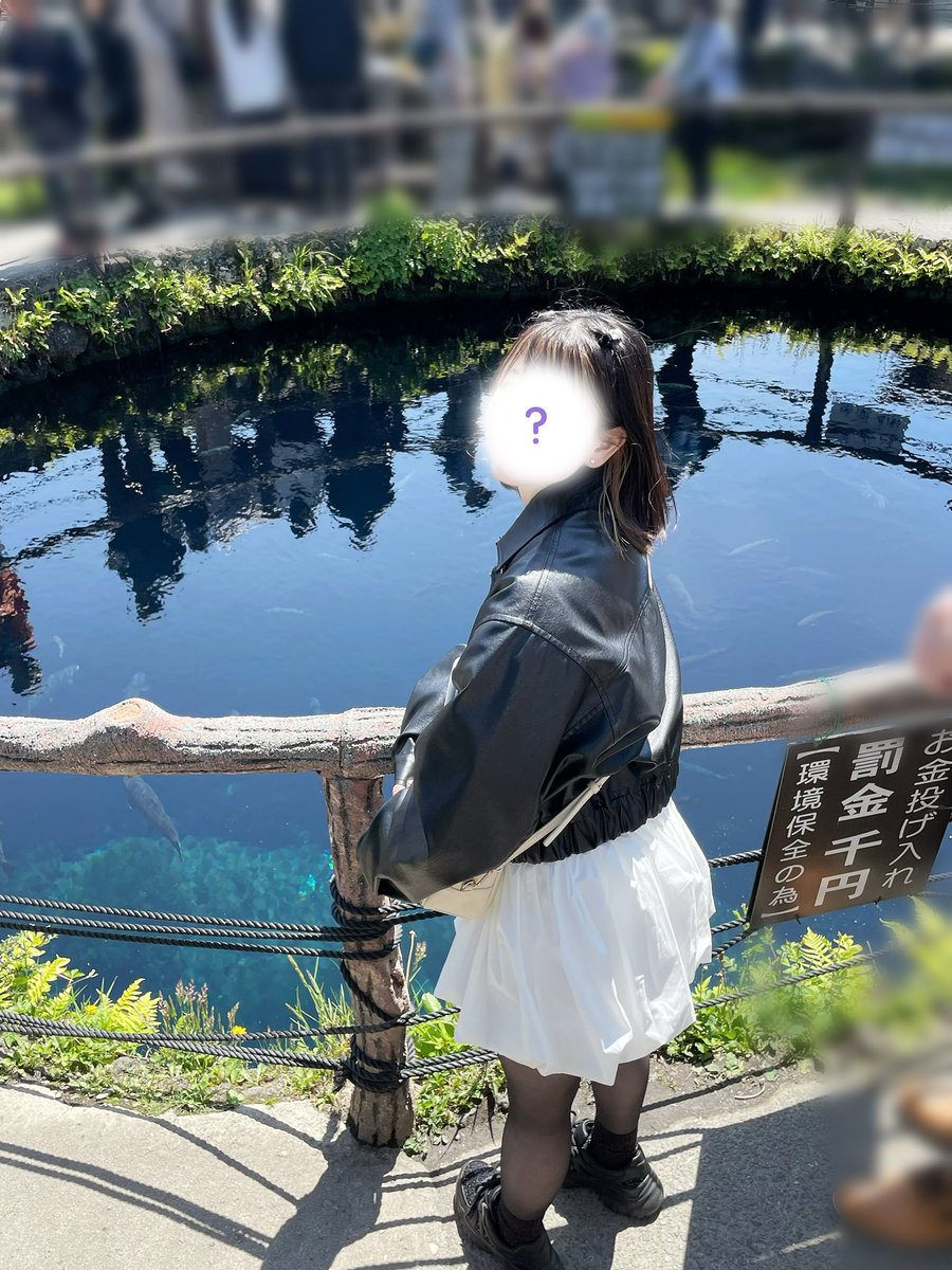 ボブハレヒナ tweet media