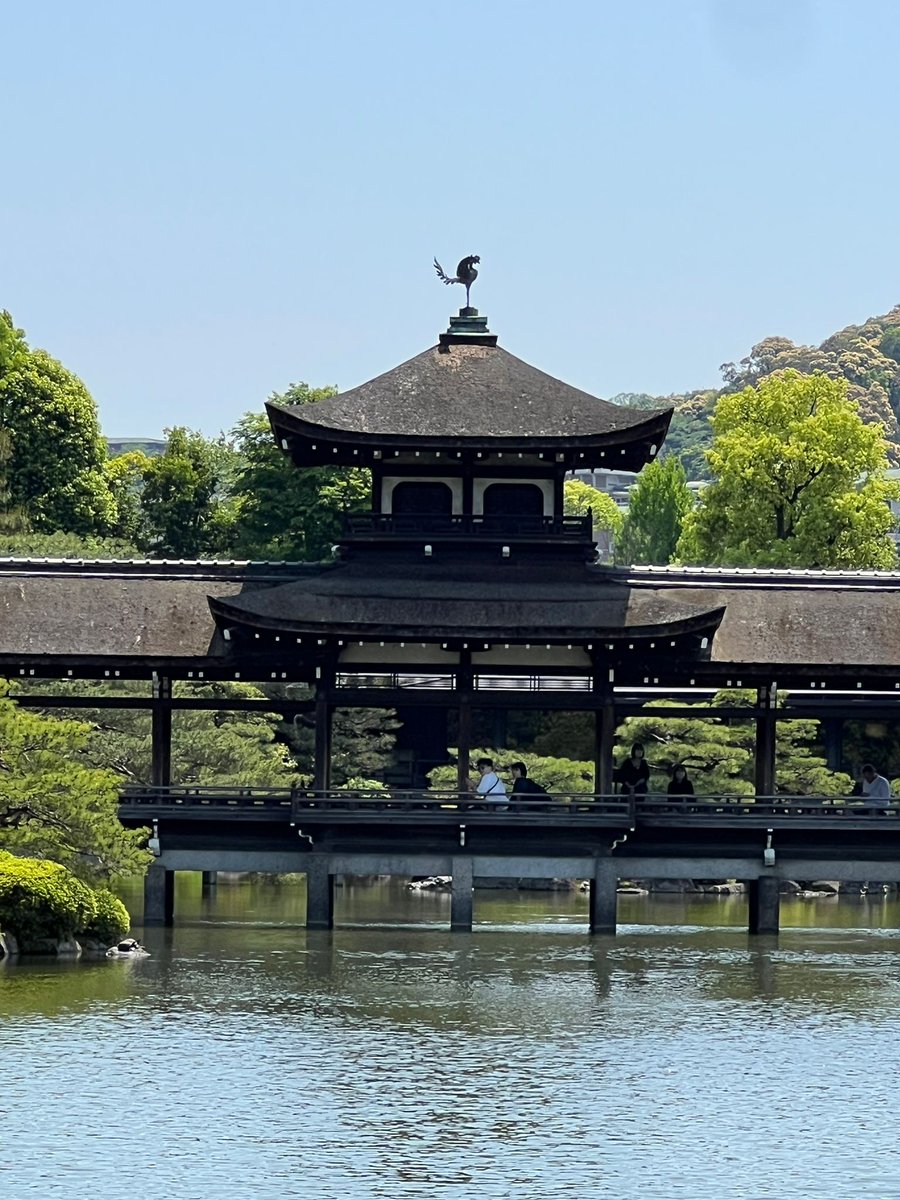 marching_sun's tweet photo. I'm in Japan right now, it's a trip I've always wanted to do... So far it's been great https://t.co/xMqnfxTswA