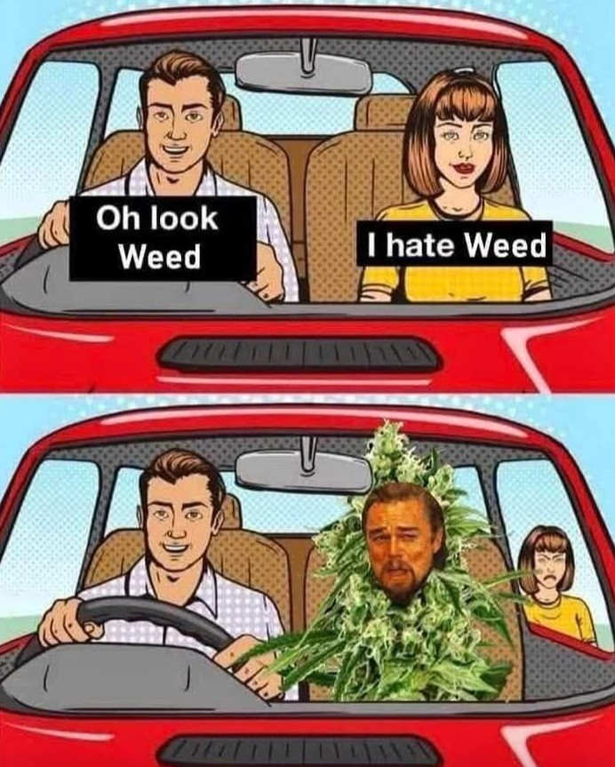Artek Swaróg🌿💨🇵🇱 tweet media