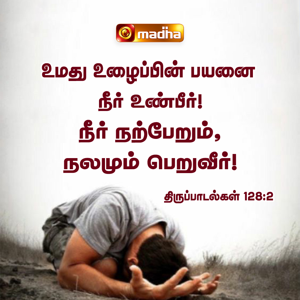 madha_tv's tweet image. Today Word Of God - Psalms 128:2🌿
 இன்றைய வாசகம் - திருப்பாடல்கள் 128:2 
@madha_tv 

#madhatv #godsword #bibleverses #faithoverfear  #dailydevotional #WordOfGod #BibleVerse #DailyVerse #Scripture #Faith #TrustGod #Jesus #ChristianLife #GodsWord #BibleQuotes #Prayer #tamilnadu