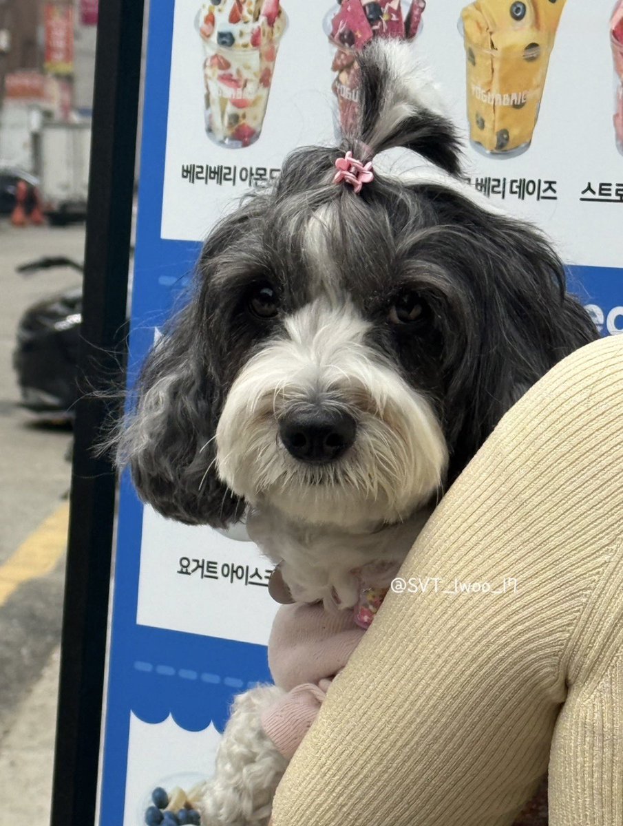 하이🐈‍⬛ tweet media