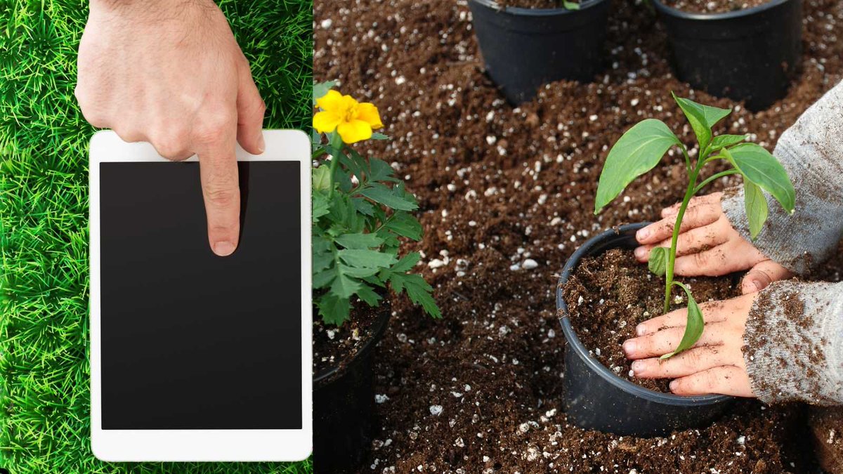 GlobalOwls's tweet image. One photo. Instant ID. Then chat with your AI Gardening Buddy for next steps. 🌿

#gardeningtips #gardeninginspiration #GardeningX #gardening

globalowls.com/ai-plant-ident…