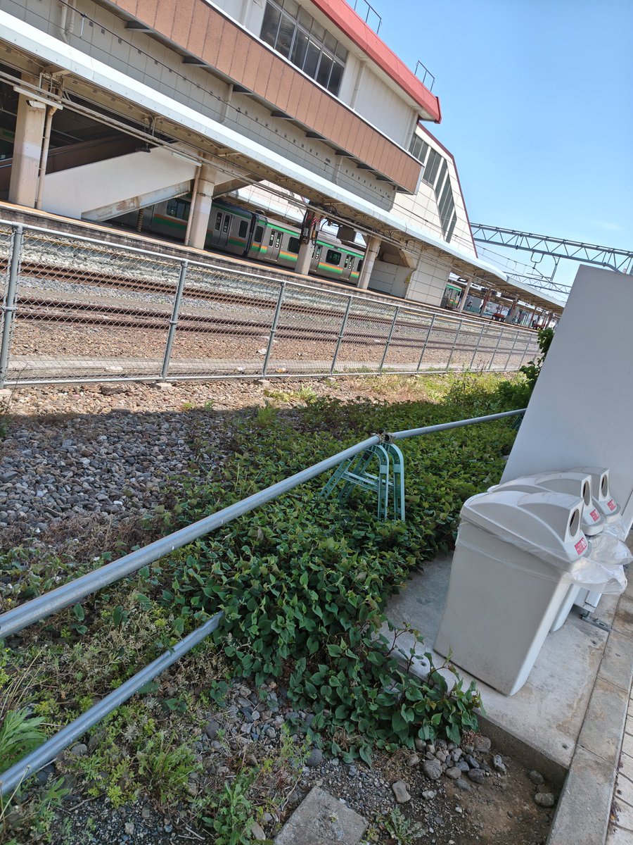 かっぺ tweet media