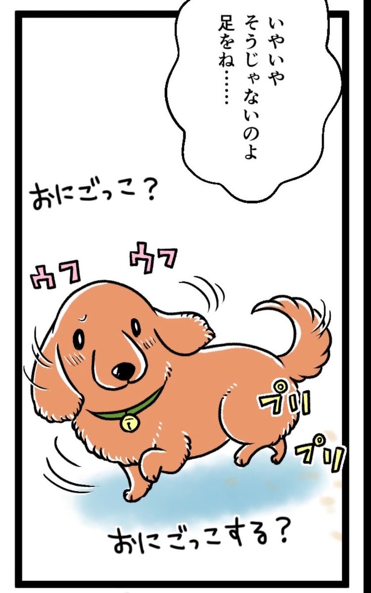 【旧作「もふもふ犬まみれ」セレクション『よもやま話 その3』part.2」①

10年前グミと銀次郎がまだ若く元気だった頃に週刊連載していた縦読みマンガです🐾

なぜ、犬は追いかけると逃げるんでしょうねえ🐕 