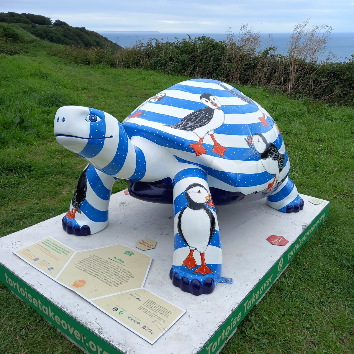 suedelacour's tweet image. The painted tortoise has a certain #style all of its own.