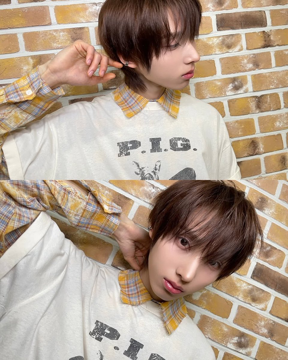 뿔립 tweet media