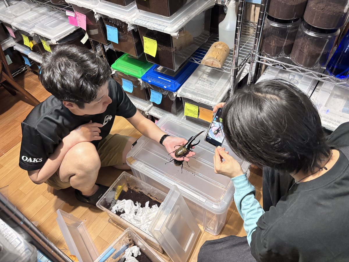 morisimaisuki's tweet photo. AKIRA君、ブリードルームに降臨‼️

久しぶりにコラボ動画を撮影します📸
公開までお楽しみに😁👍 https://t.co/o6ARhIVsYJ