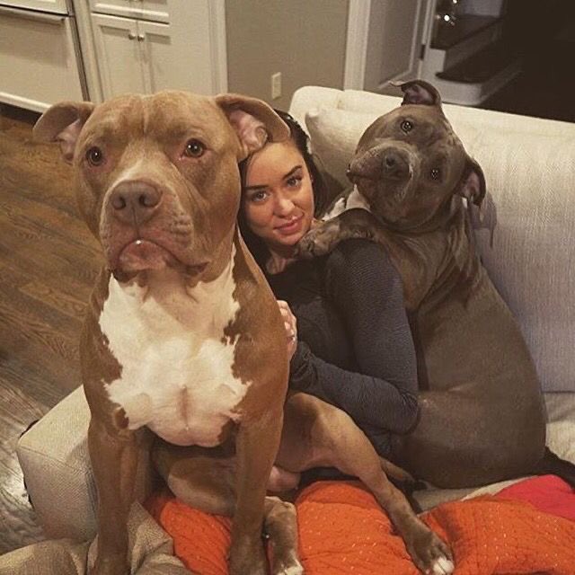 k9 Betty 💞🍆🐕 tweet media