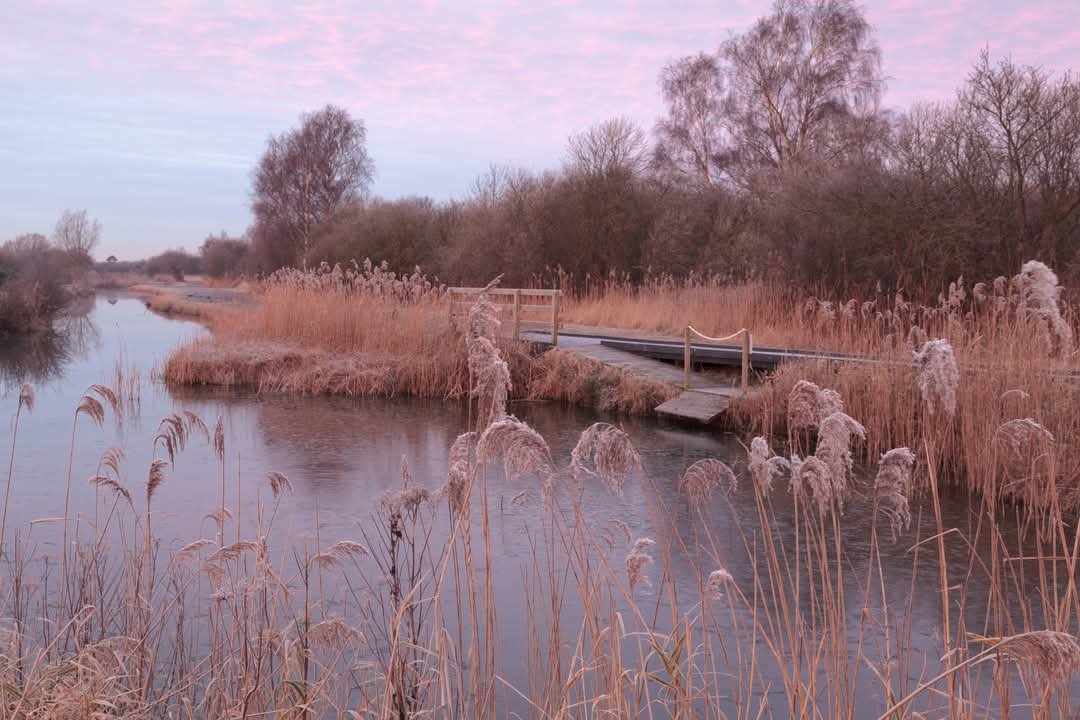 RambleAndPint's tweet photo. The ancient, mysterious and ethereal Wicken Fen.

Local folklore says a fenland spirit known as The Lantern Man wanders these mist covered lands, appearing as a drifting light.

It's easy to see how places like this have inspired folk tales for millennia. 

🏴󠁧󠁢󠁥󠁮󠁧󠁿 https://t.co/Ch4TmnE8nX