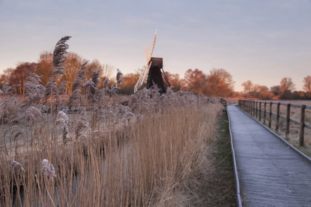 RambleAndPint's tweet photo. The ancient, mysterious and ethereal Wicken Fen.

Local folklore says a fenland spirit known as The Lantern Man wanders these mist covered lands, appearing as a drifting light.

It's easy to see how places like this have inspired folk tales for millennia. 

🏴󠁧󠁢󠁥󠁮󠁧󠁿 https://t.co/Ch4TmnE8nX