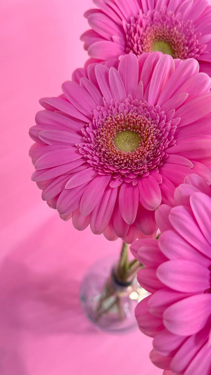 Marijosesanz73's tweet image. 🎀 BuenoS díaS !! 🎀
Feliz #Sábado 😁😜☕️🥰