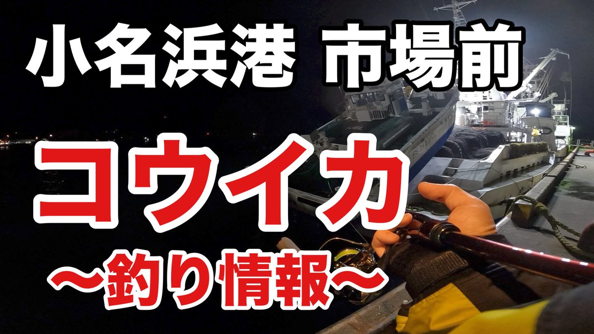 1chigyo_1chie's tweet photo. 🔴YouTube
【いわき市小名浜港】コウイカの釣り方！
これが解れば誰でも釣れる！簡単ただ巻きエギング！

https://t.co/vdmfU6CSZj @YouTubeより

#コウイカエギング
#エギングロッド
#セフィアリミテッド
#エギング初心者 https://t.co/39dDWppcMz