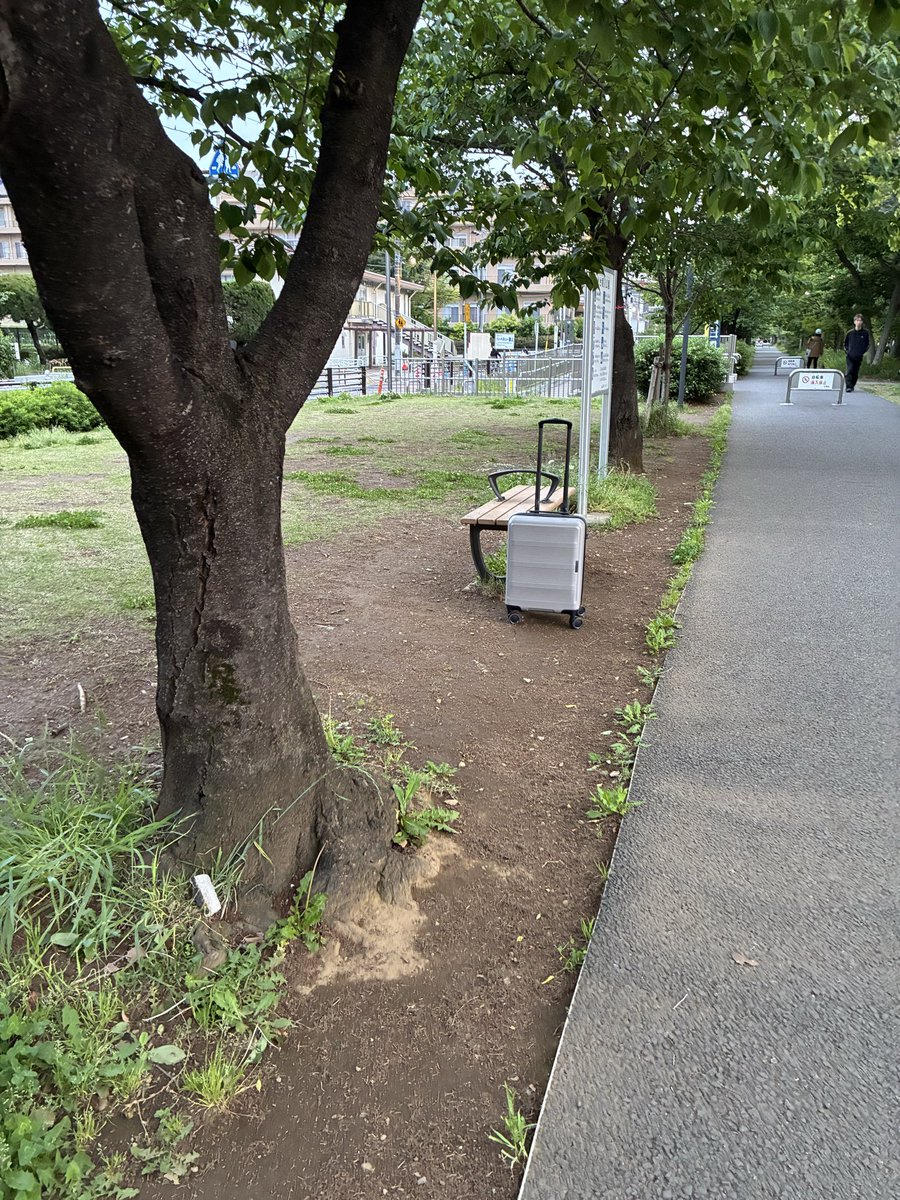 ぼしゅん tweet media