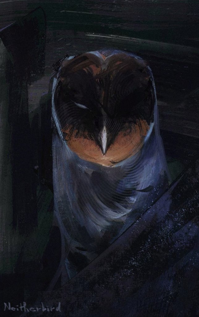 Neitherbird tweet media