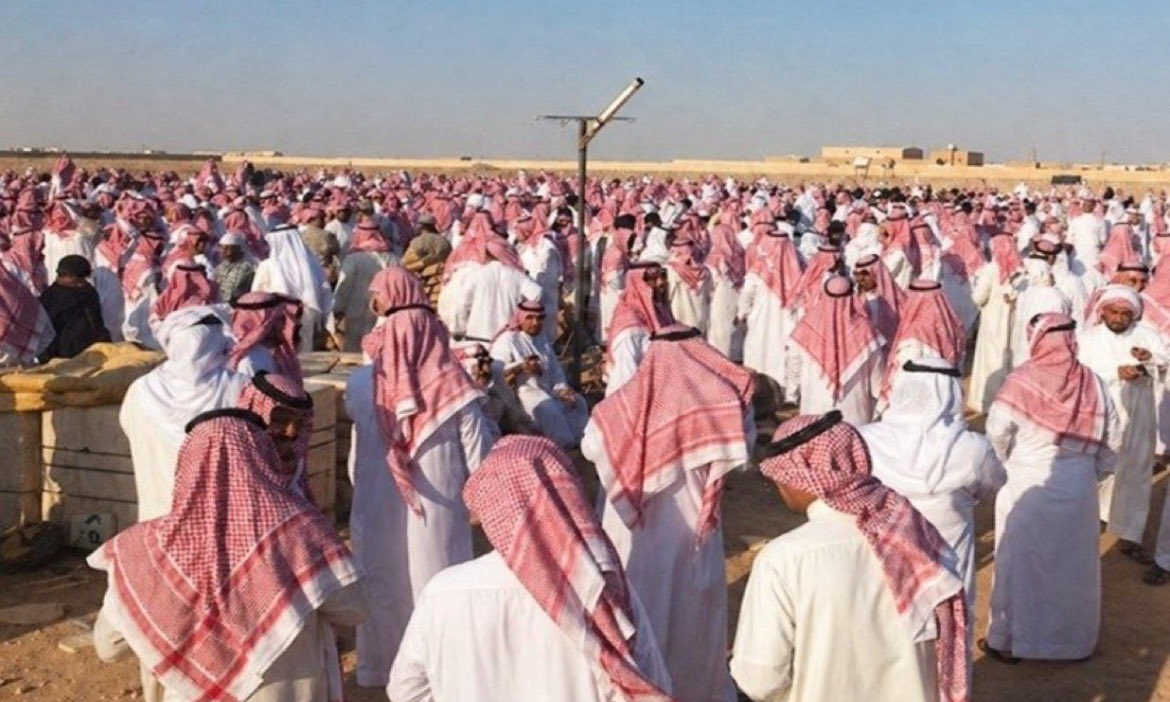 عثمان العضيبي tweet media