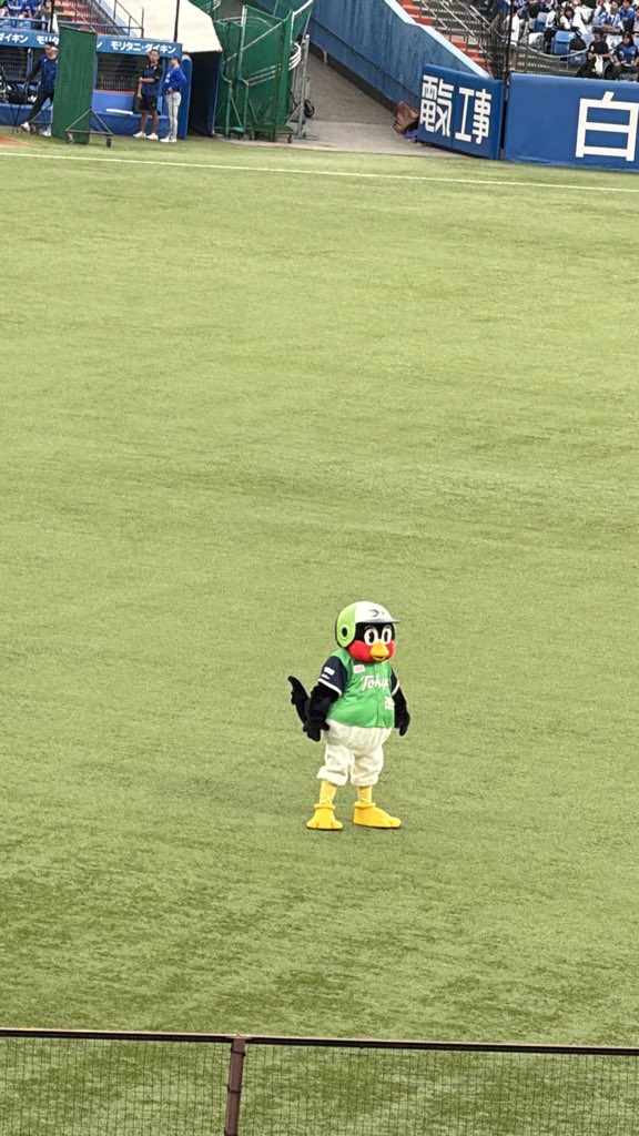 #つばくろう