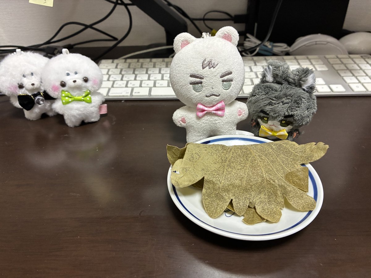3日前のハンバーグ tweet media