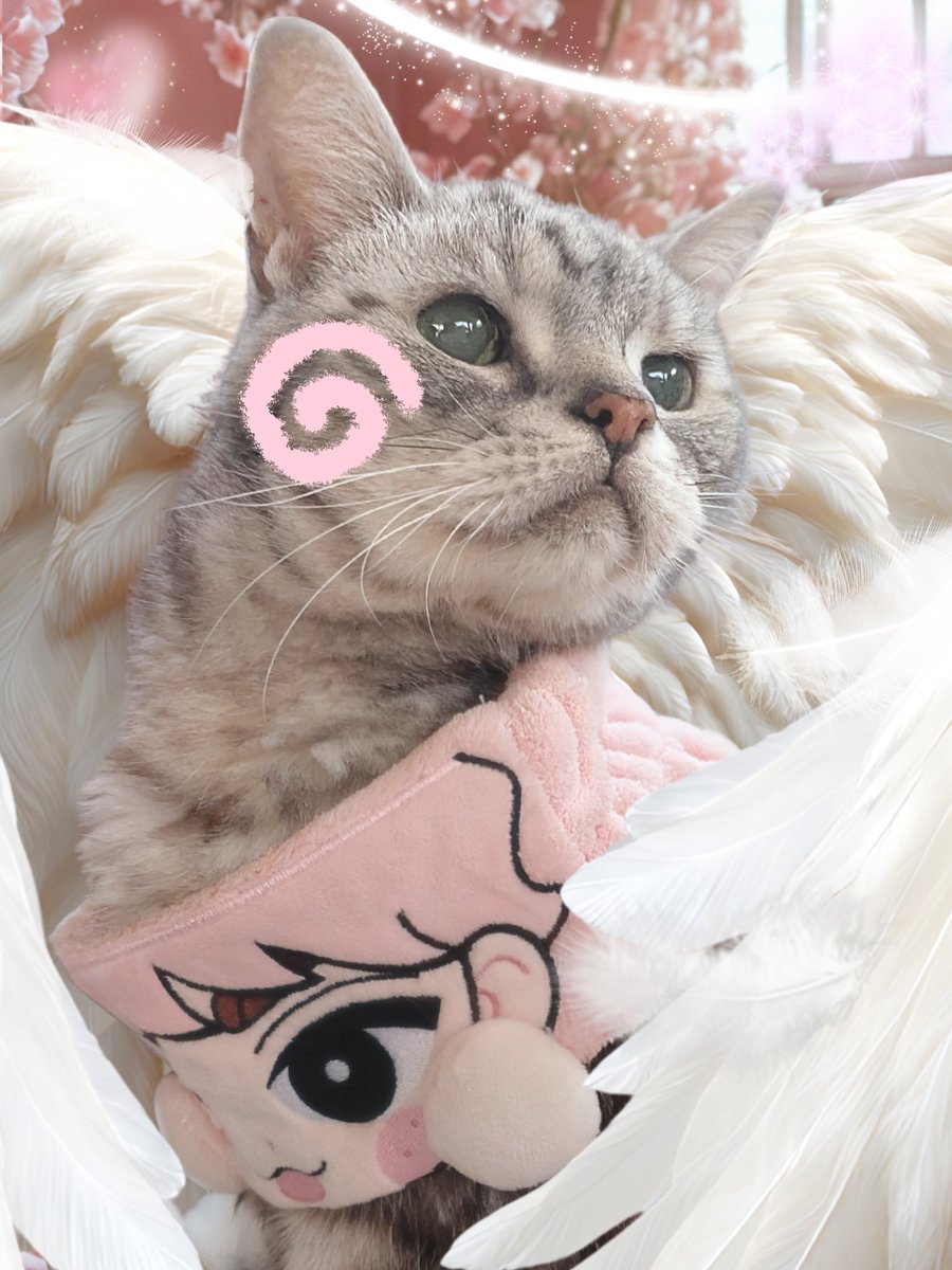 Y/Cマウント f4 300mm さま CarlZeiss ピンクの猫 Post #四季组#OC X: on
