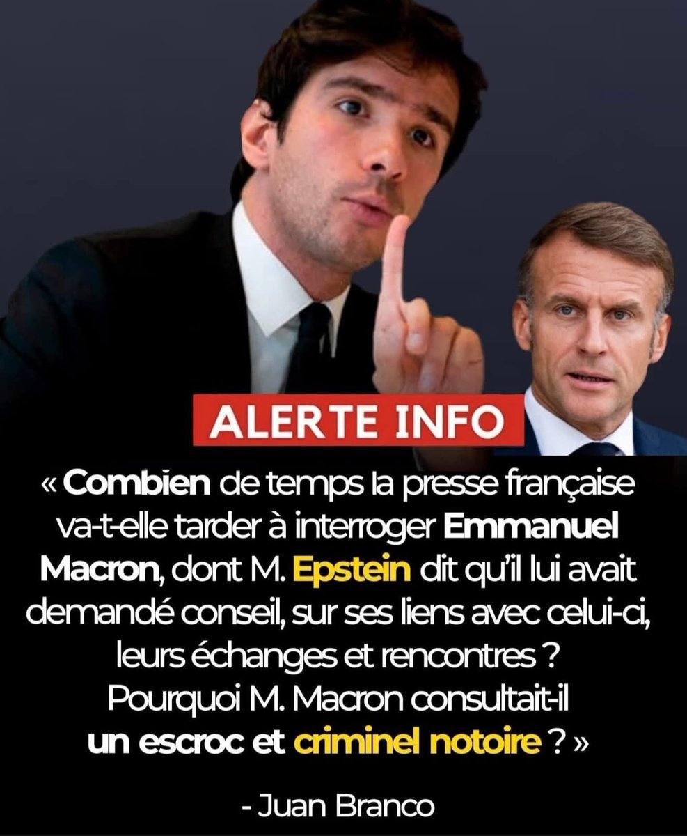 Perle tweet media