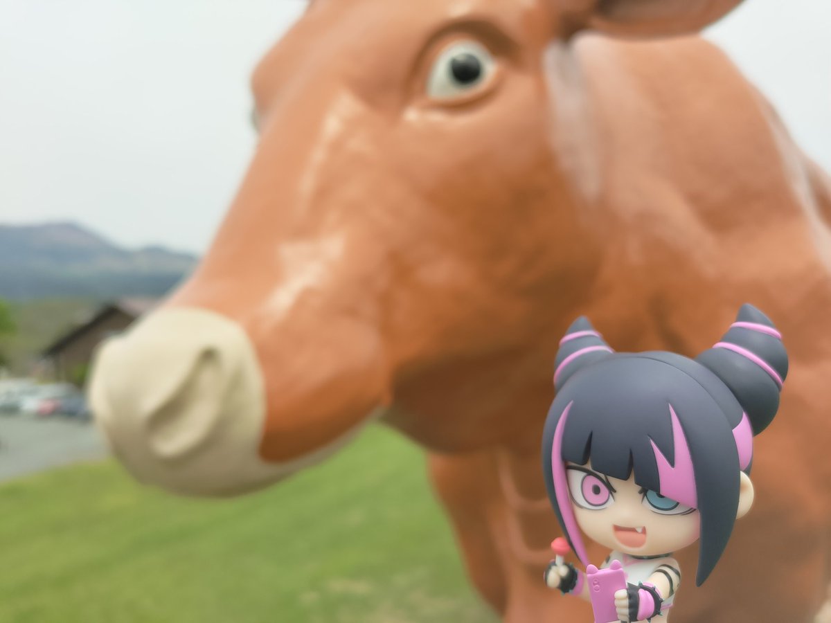 ほうまん tweet media