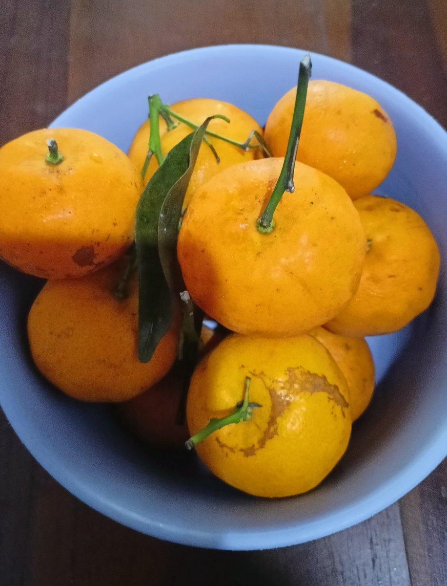 Sampek rumah langsung buka isi kulkas 🍉🍊
Jangan lupa makan buah guys🫶🏻