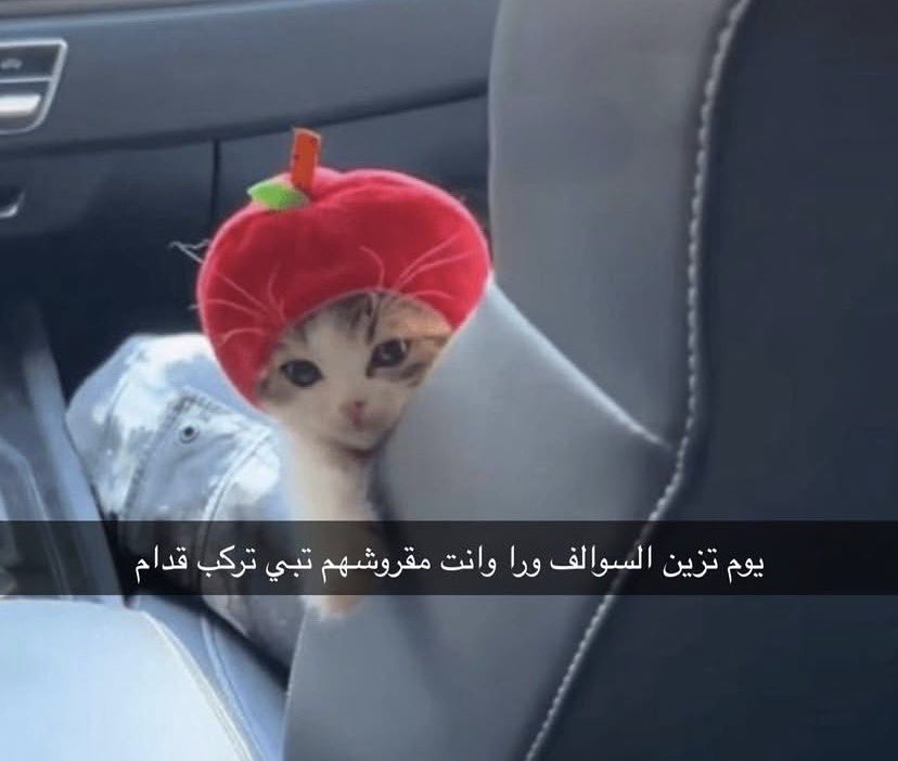 انس ماغيره tweet media
