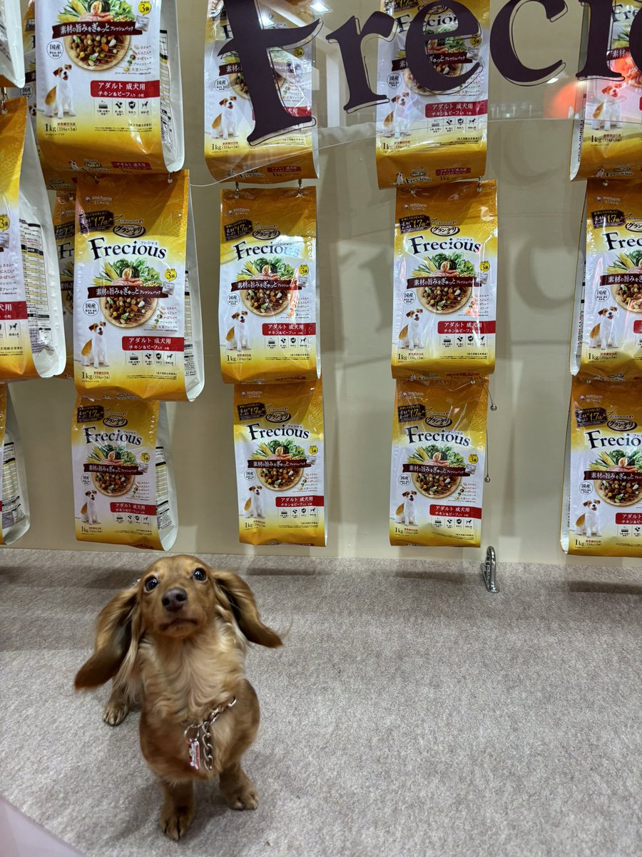 コココ tweet media
