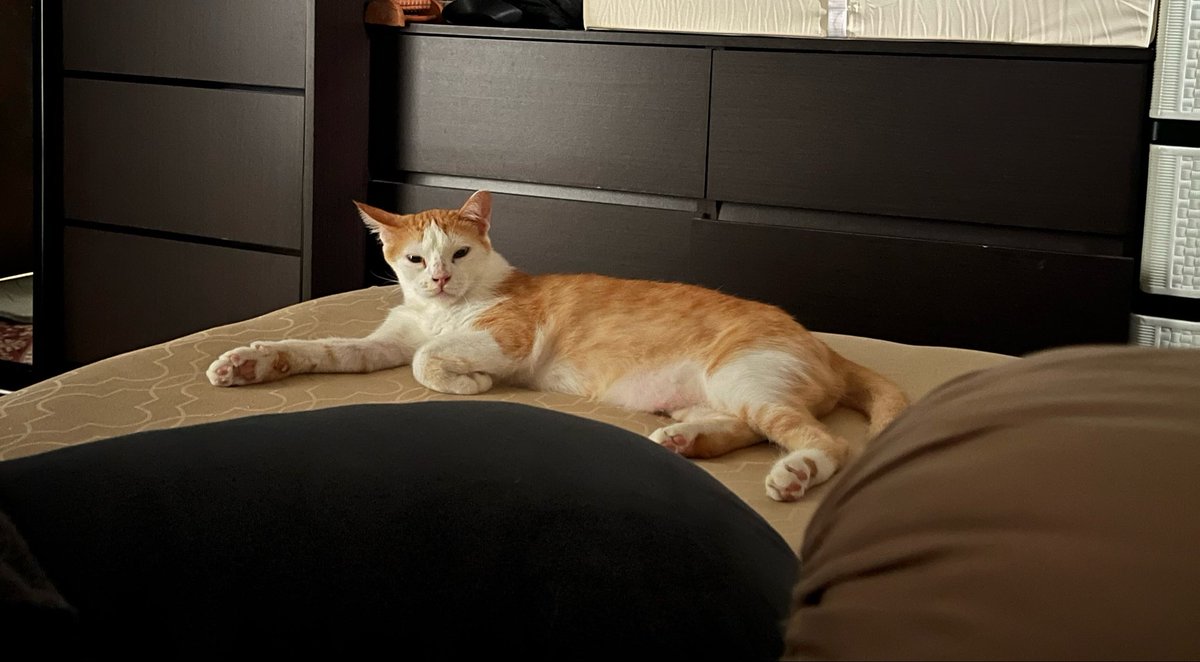 Comel la awak ni. Nak gigit.