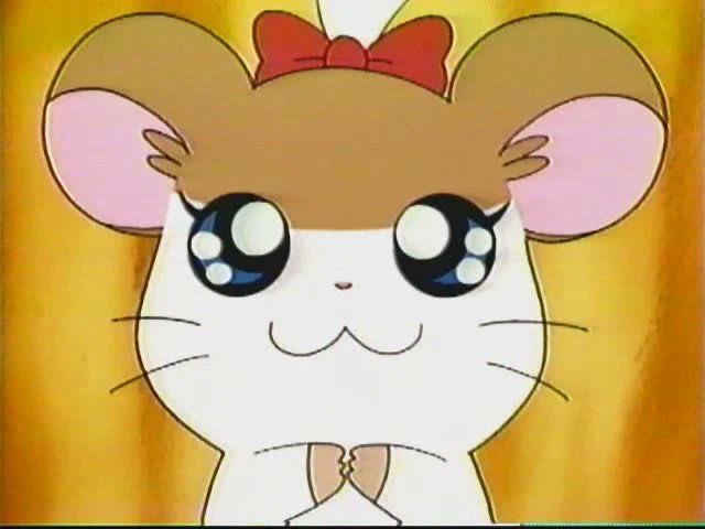 쿠쿠룽 tweet media