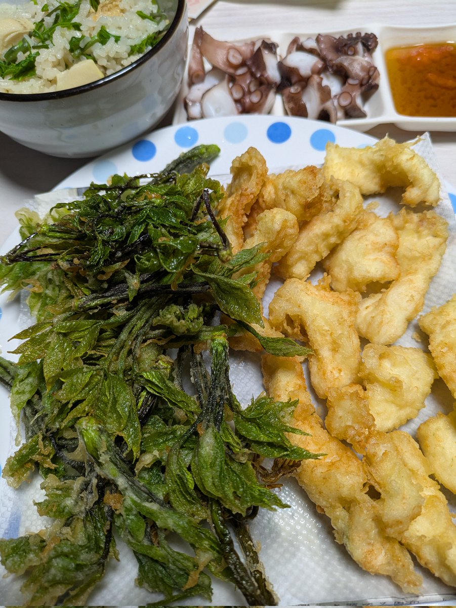 とっとこ釣りチャンネルハム太郎 tweet media