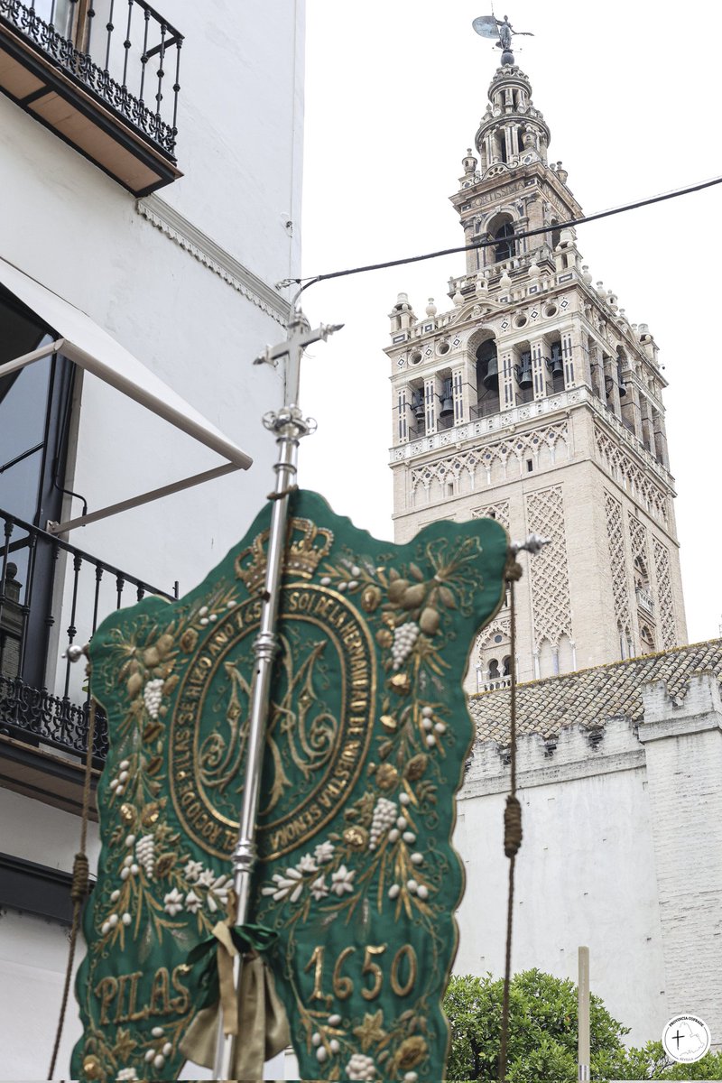 ProvinciaCofrad's tweet photo. 🔘 Pilas / Sevilla

Traslado del simpecado de Ntra. Sra. del Rocío a la Santa Iglesia Catedral de Sevilla para la función por el 375 aniversario de la estamos más antigua del simpecado.

Durante el trayecto de ida desde la Iglesia Colegial del Divino Salvador, se... https://t.co/2nWPhj9s5S