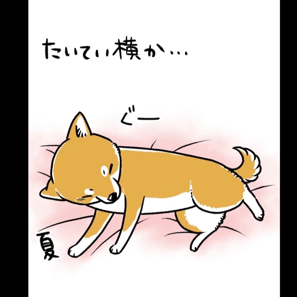 『何度でも言うね、大好きだよ 愛犬グミと銀次郎と過ごした日々』
シニアになったグミと銀次郎の漫画が、3月11日に発売になりました。
そちらもどうぞよろしくお願いいたします😌
・Amazonストア
https://t.co/fy5d2WWXxc
・楽天ブックス
https://t.co/9cCGS34Ik8
・KADOKAWA