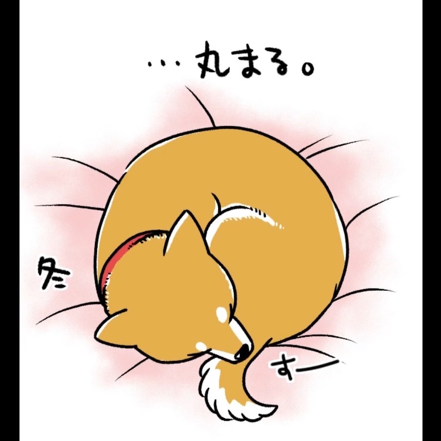 『何度でも言うね、大好きだよ 愛犬グミと銀次郎と過ごした日々』
シニアになったグミと銀次郎の漫画が、3月11日に発売になりました。
そちらもどうぞよろしくお願いいたします😌
・Amazonストア
https://t.co/fy5d2WWXxc
・楽天ブックス
https://t.co/9cCGS34Ik8
・KADOKAWA