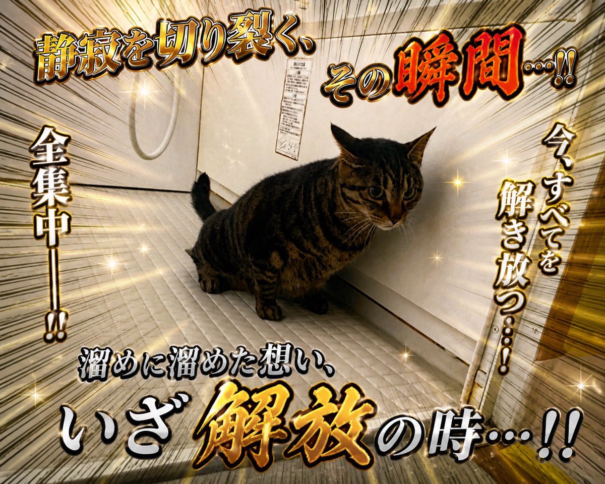 真-shin- tweet media