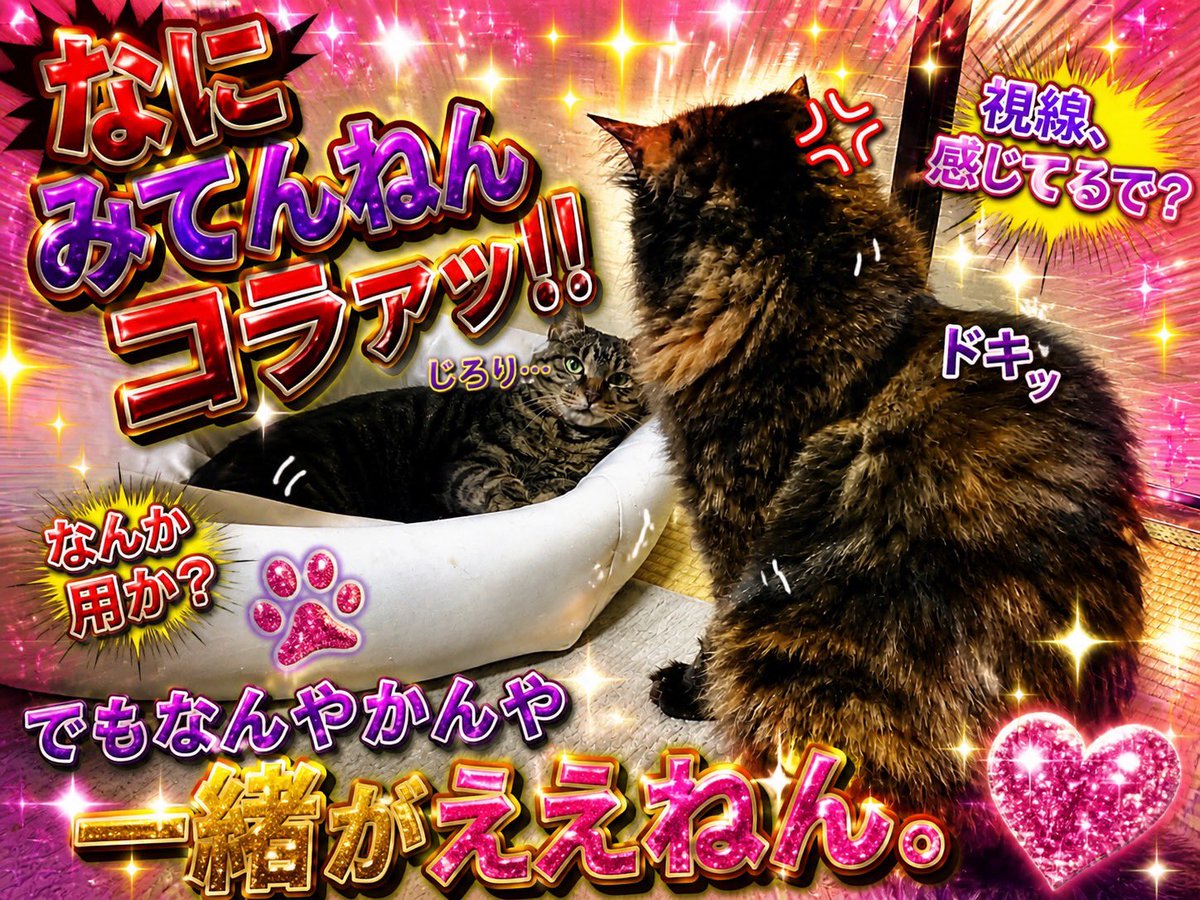 真-shin- tweet media