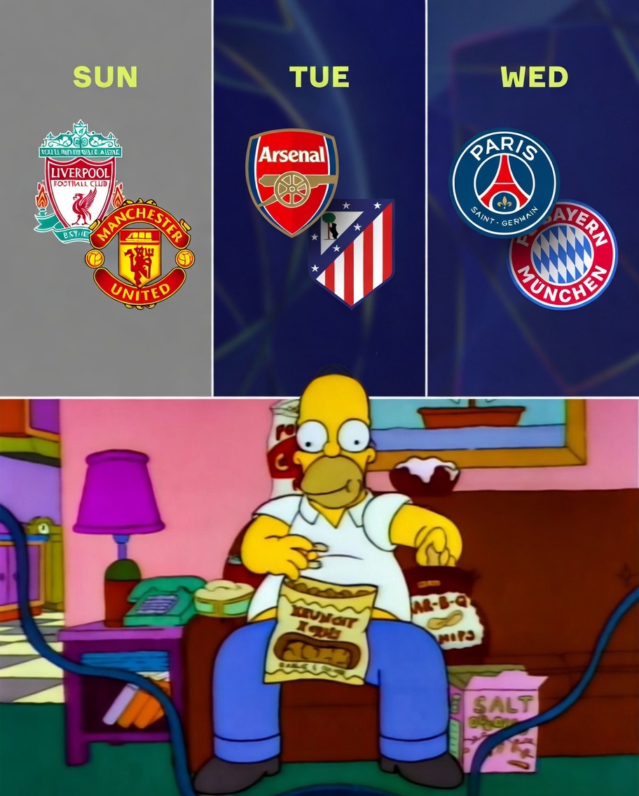 MattyFC tweet media