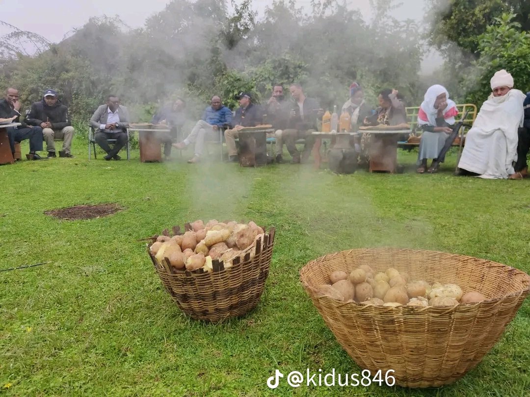 ት ር ን ጎ 🍋 tweet media