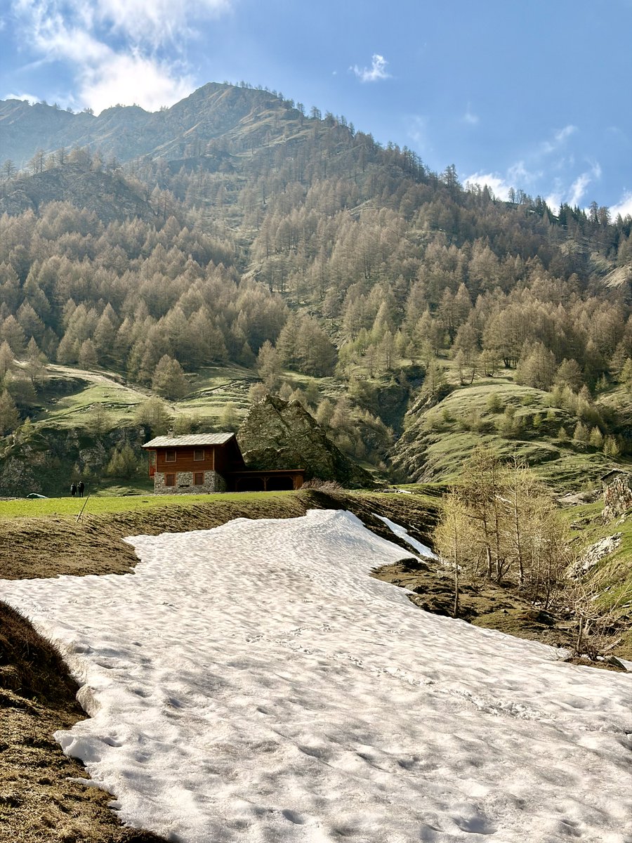 domenk0's tweet photo. Primavera in arrivo ma la neve non vuole andarsene. Bobbio Pellice, Val Pellice. 🌿❄️

#BobbioP ellice #ValPellice #Primavera #Spring #Neve #Snow #Baita #MountainHut #Larici #Montagna #Piemonte #AlpiCotzie #AlpiOccidentali #PiemonteNatura #PiemonteAlpino #VisitPiemonte #Trekking https://t.co/JLV6tscb3j