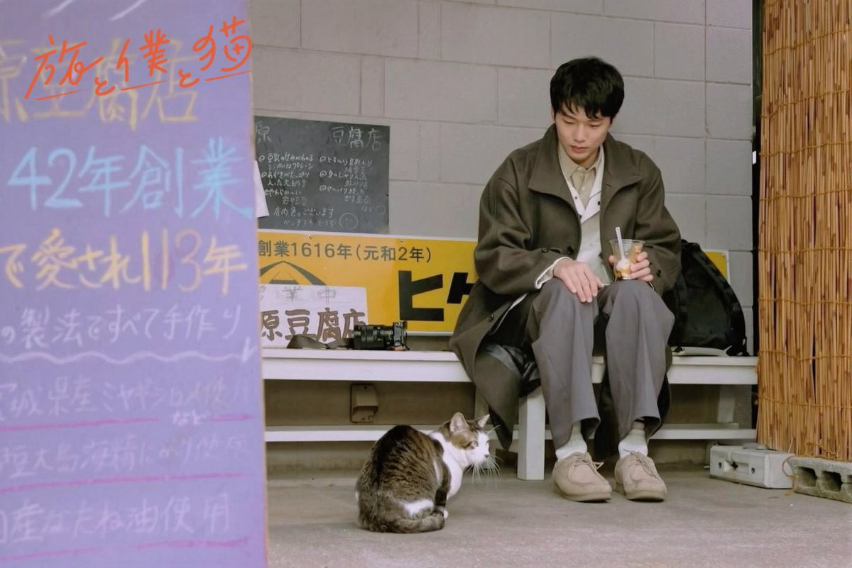 lexkun's tweet photo. #TabiToBokuToNeko had talking cats and beautiful landscapes all over Japan. A short show but fun and relaxing to watch. 8/10 #旅と僕と猫 https://t.co/rEyEG5Qbcw