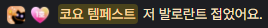 슈디 tweet media
