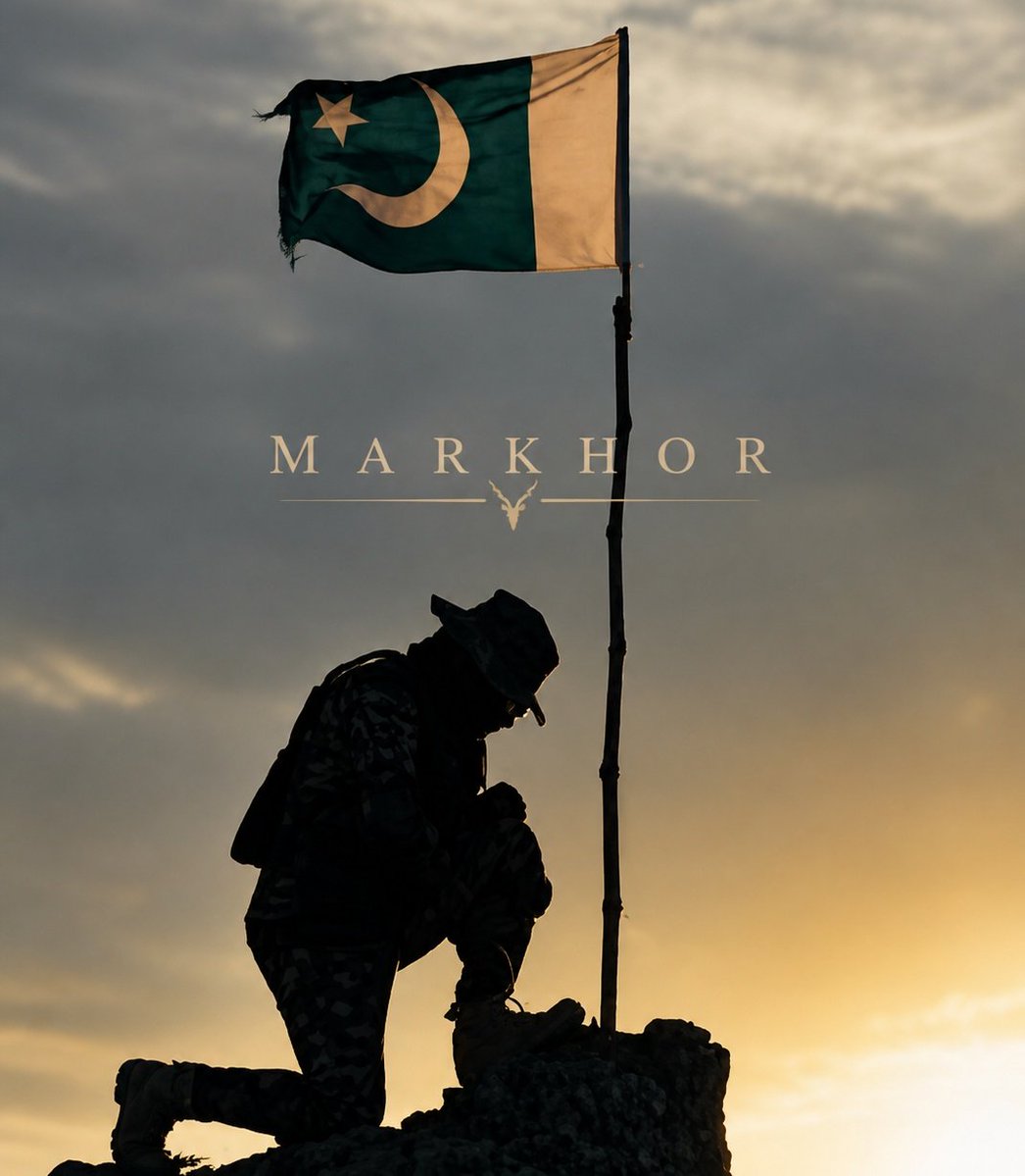 Markhor 𓄅 tweet media