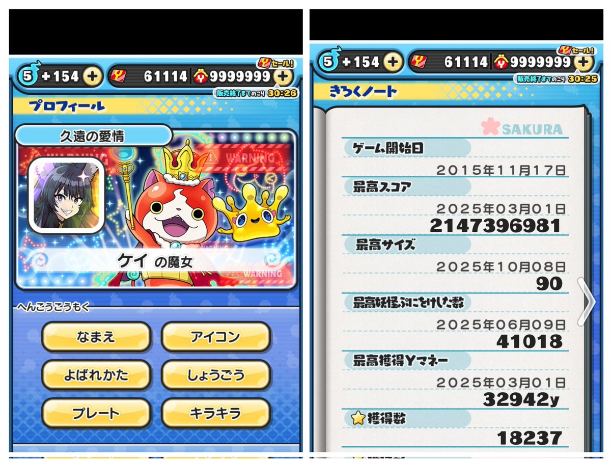 白夜 tweet media