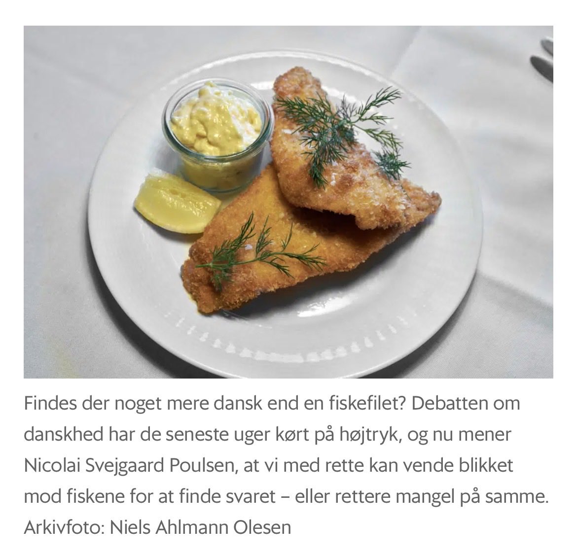 NSvejgaard's tweet photo. “Ligesom fisk er vi danskere ikke sådan at sætte på formel, men vi findes stadig.

Og vi fortjener et habitat, vi fortsat kan leve i, der ikke er forurenet af hverken udansk gylle eller spildevand fra dårlig tænkning fra det etnonationalistiske højre og åndløse venstre.” https://t.co/8KszpmIfr2