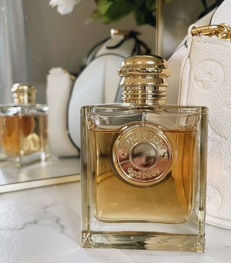 آيلا عطور ♡ tweet media