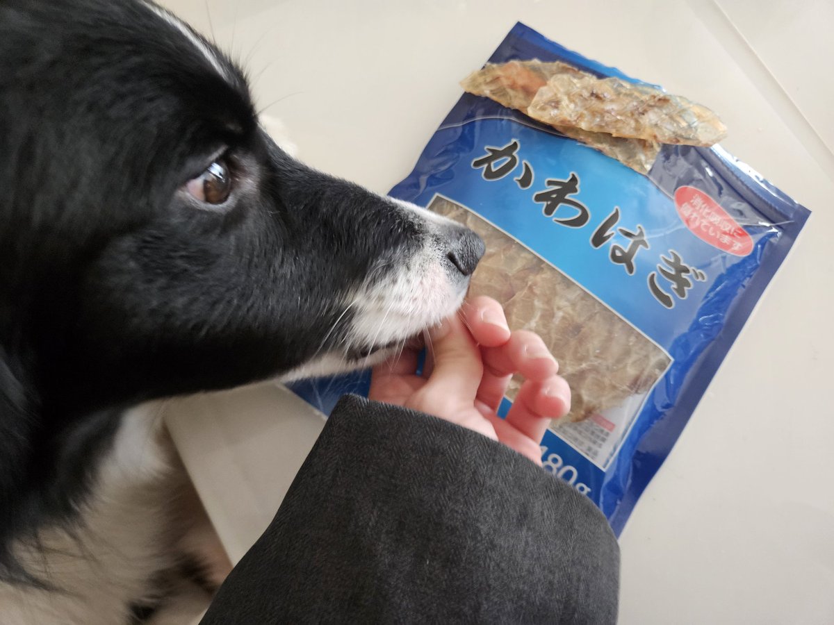 進撃のはやこ tweet media